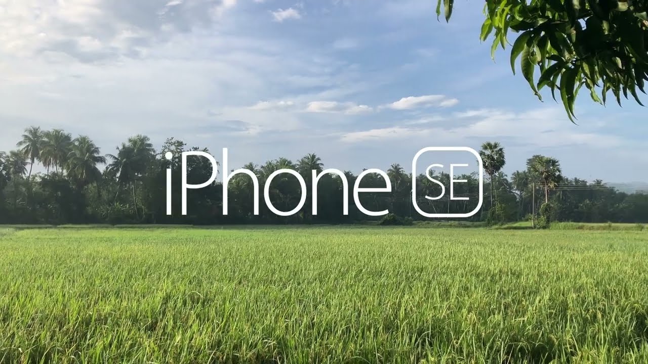 Shot on iPhone SE 3 (2022) Cinematic Video | ProRes | Full HD