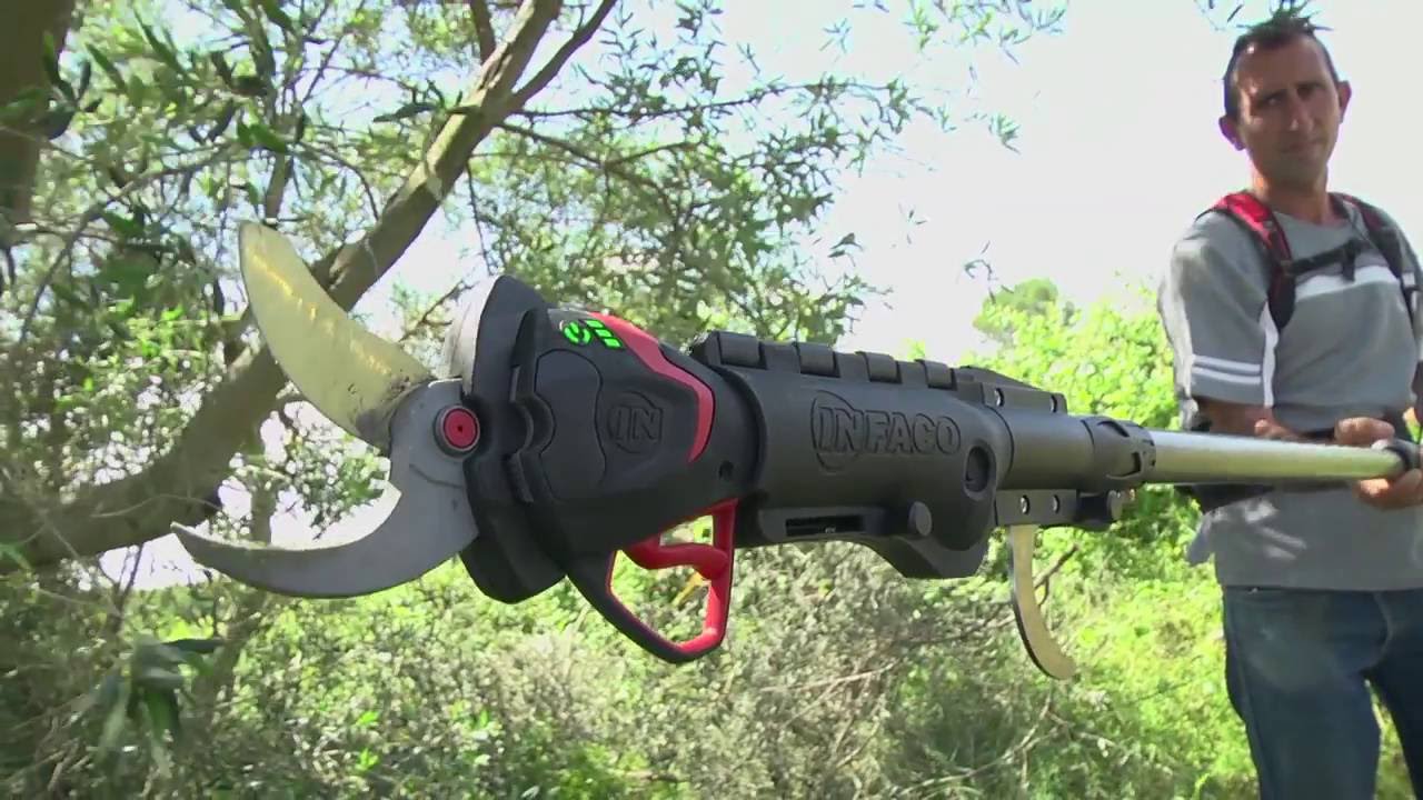 FR - F3015 en Oléiculture - INFACO