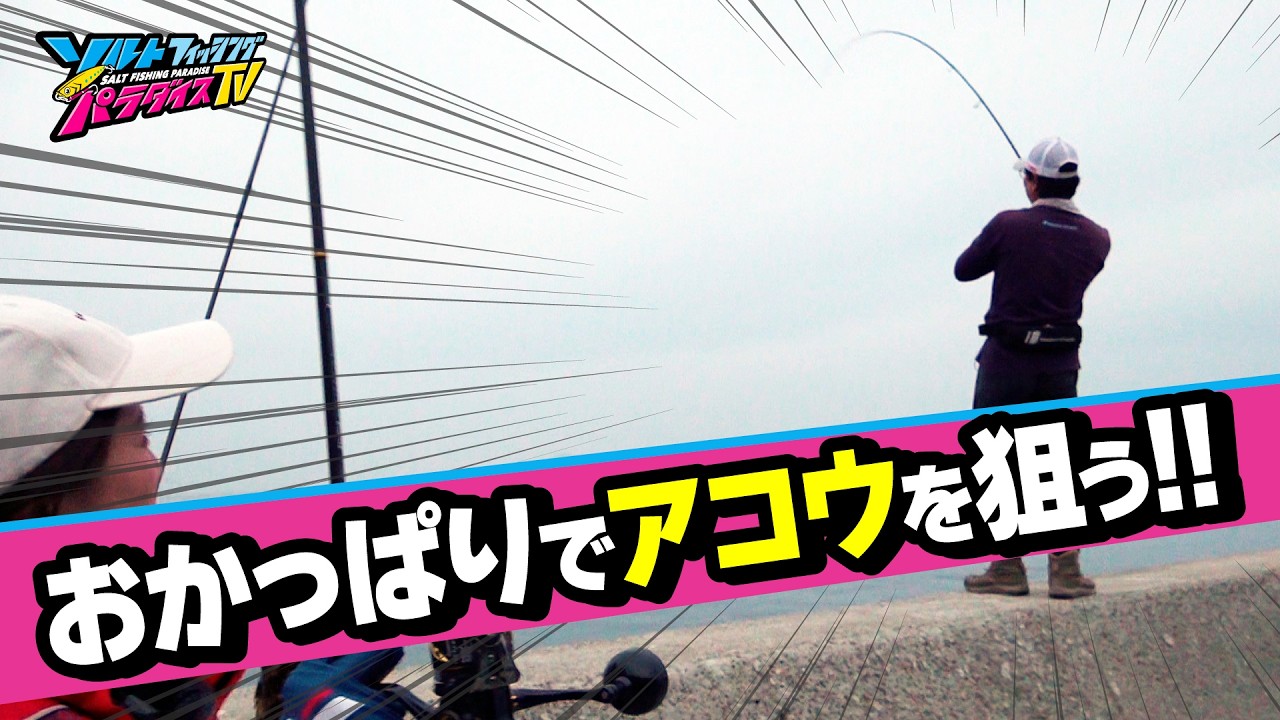 オカッパリでアコウ連発！ラッキークローの実力とは！？（ソルパラTV・2025年7月18日公開）