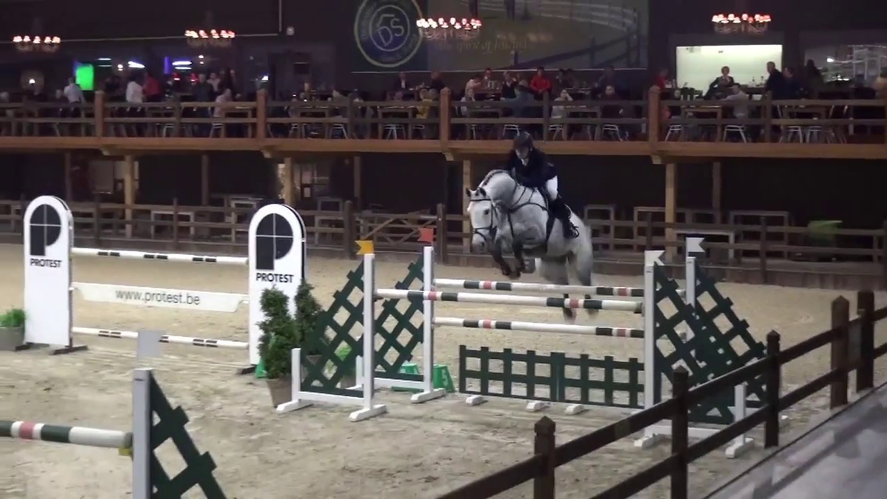 Jaguar van Paemel & Dirk Demeersman - Winner 1m40 GP Azelhof