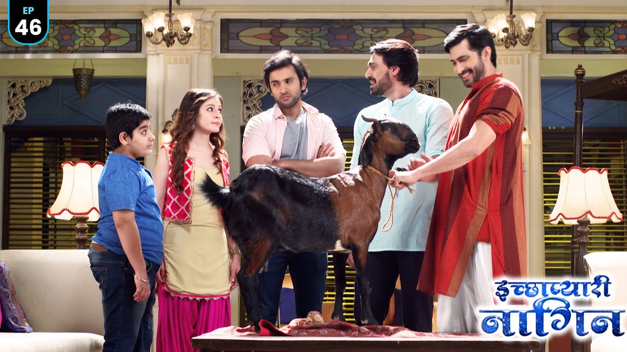 नागिन के लिए Bubble लेके आया बकरी || Icchapyaari Naagin | New Naagin Episode 2024