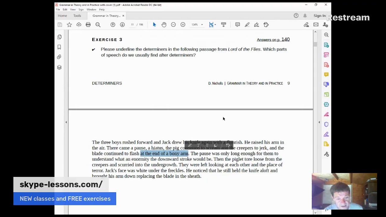Grammar in Theory and in Practice (Determiners and Countability)