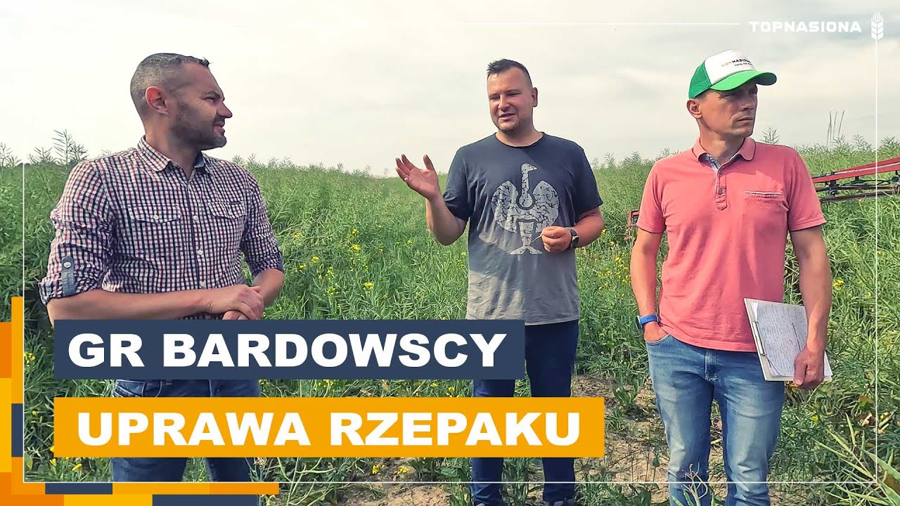 Jak uprawia rzepak Grzegorz Bardowski? Cz. 2/3 | Rzepak Guzzi | Top Nasiona