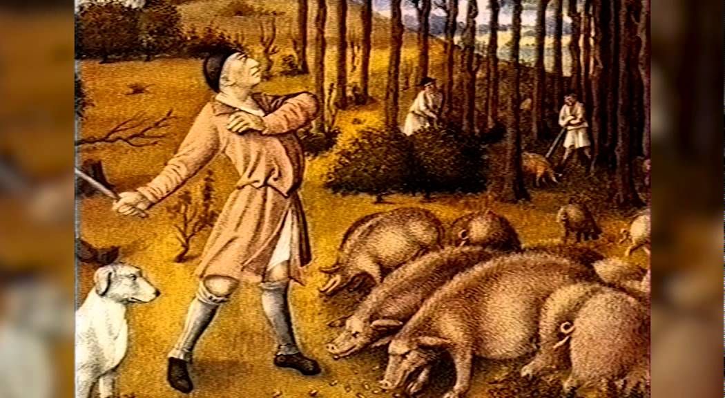 Dans les déserts de l'Ain