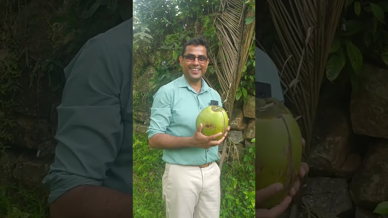 කුරුම්බා ගෙඩියක් අතහරින හැටි