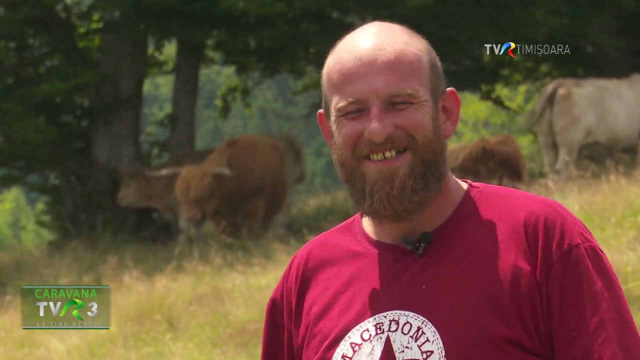 Marius Tăuș are o fermă cu vaci scoțiene la Găr&acirc;na. Și face burgeri! #CaravanaTVR3 @TVRTM