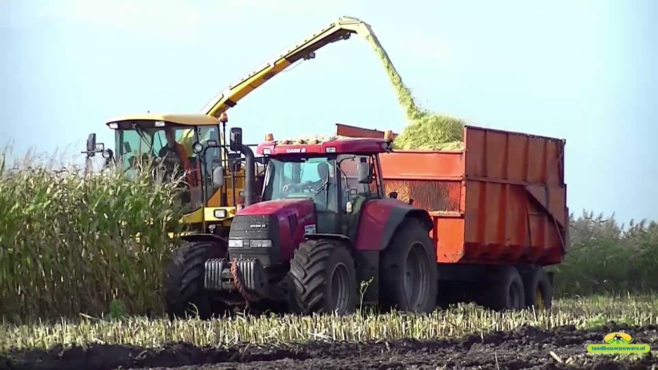 Loonbedrijf Oosterhuis in de mais op een nat hoekje met het sterkste paard van stal