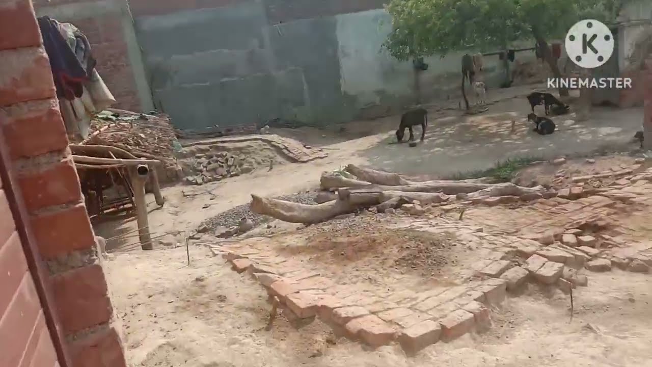 my house tour india My house  #My house #vlog #poor vlog boy Nitin