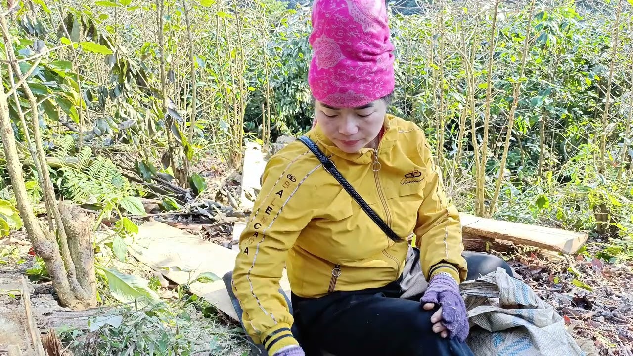 PI NỌNG LÉ CẢNH KHỔ KHỎI ĐIỆU ĐĂNG KÝ KÊNH HẢƯ KHỎI É NỚ