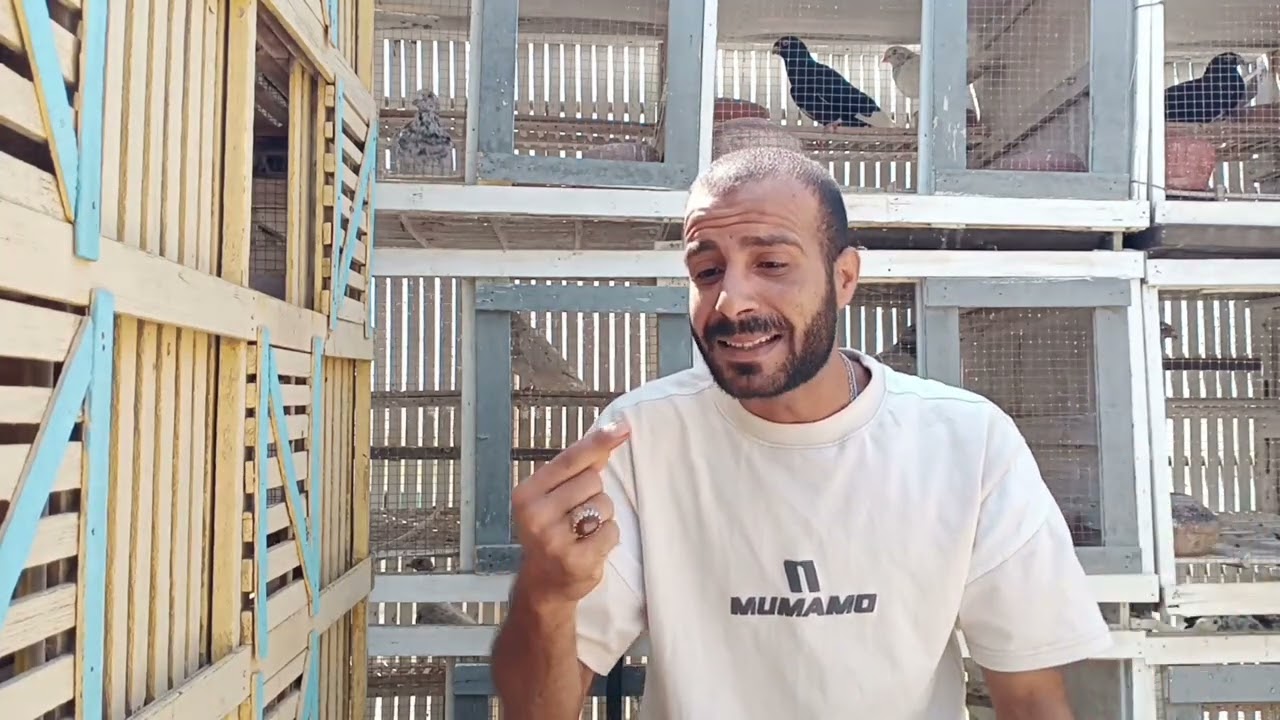 تحضين الصافي#حسين_الخطيب 