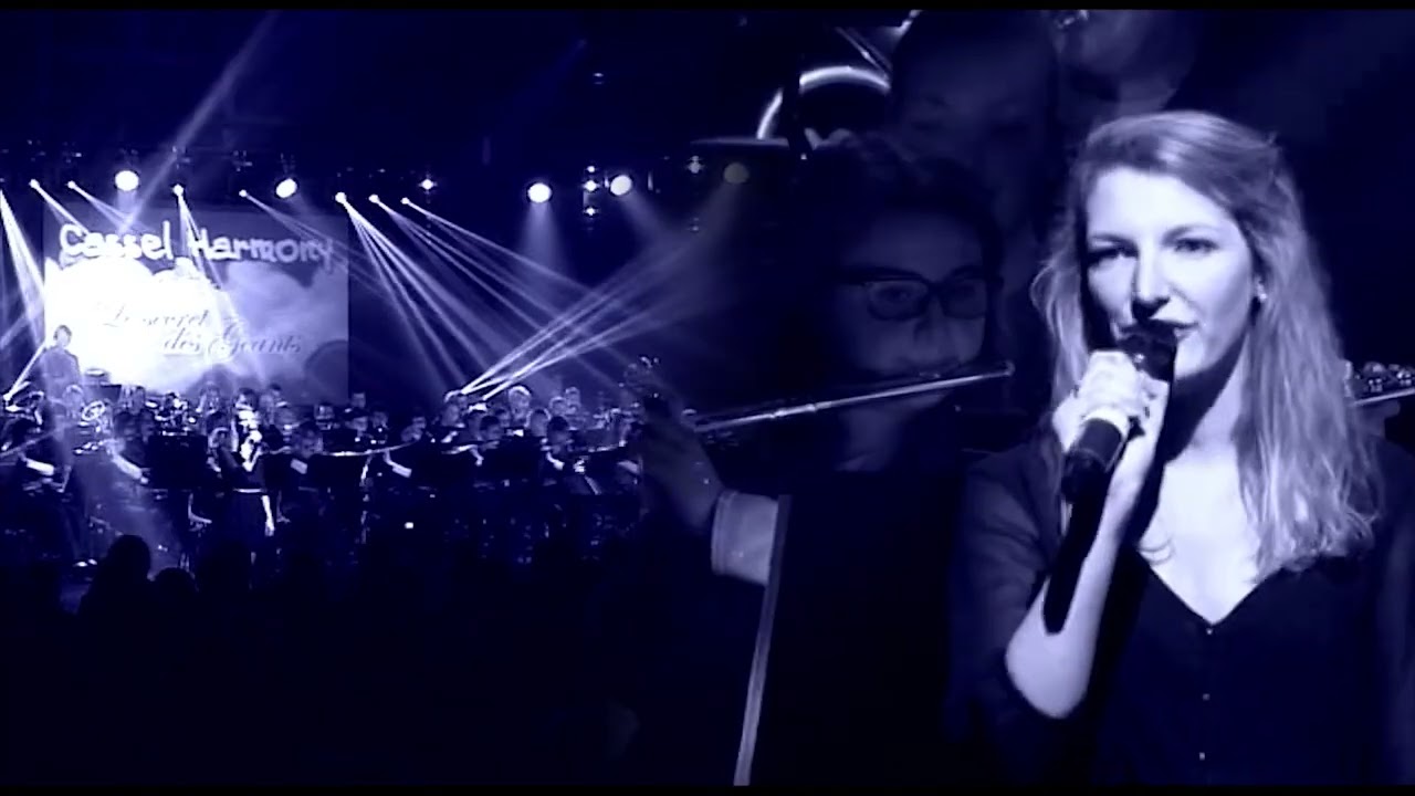 21 - Skyfall - Concert 2014 