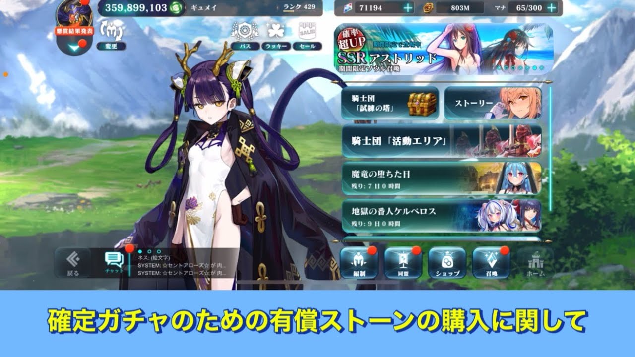 【エバーテイル#773】確定ガチャ用有償ストーンのおすすめ購入方法と注意点【evertale】