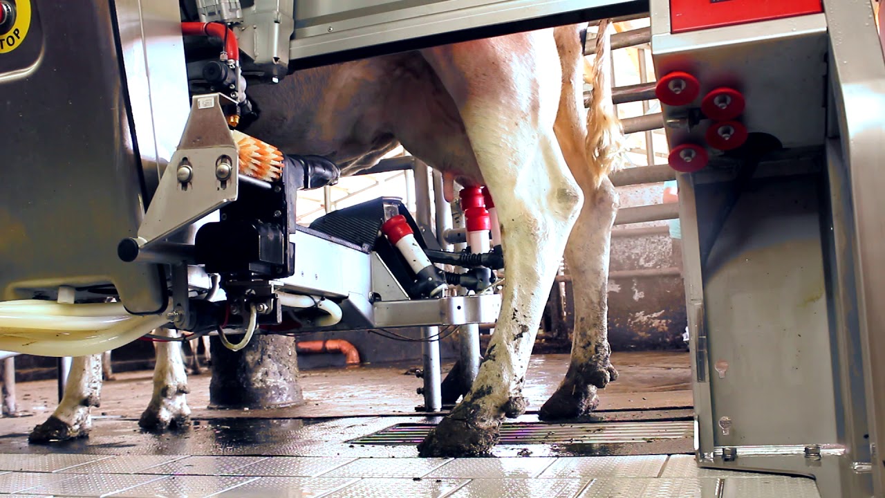 Melkrobotor Lely Astronaut A4 - Overhoff GbR