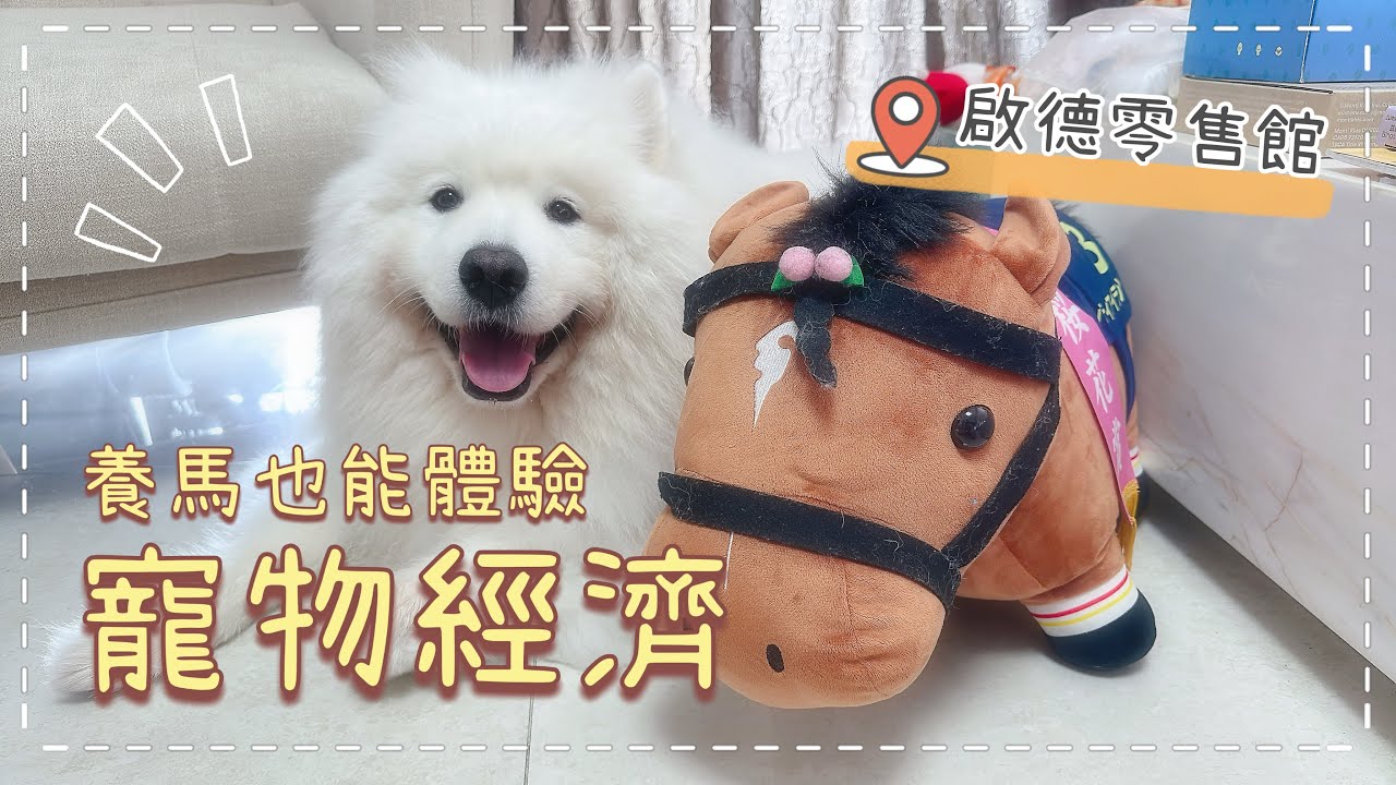 【啟德零售館】帶Tako和「寵物馬」去啟德零售館，食花甲、打保齡球🎳一齊體驗「香港寵物經濟」，｜西摩Tako｜@big_dog_channel 