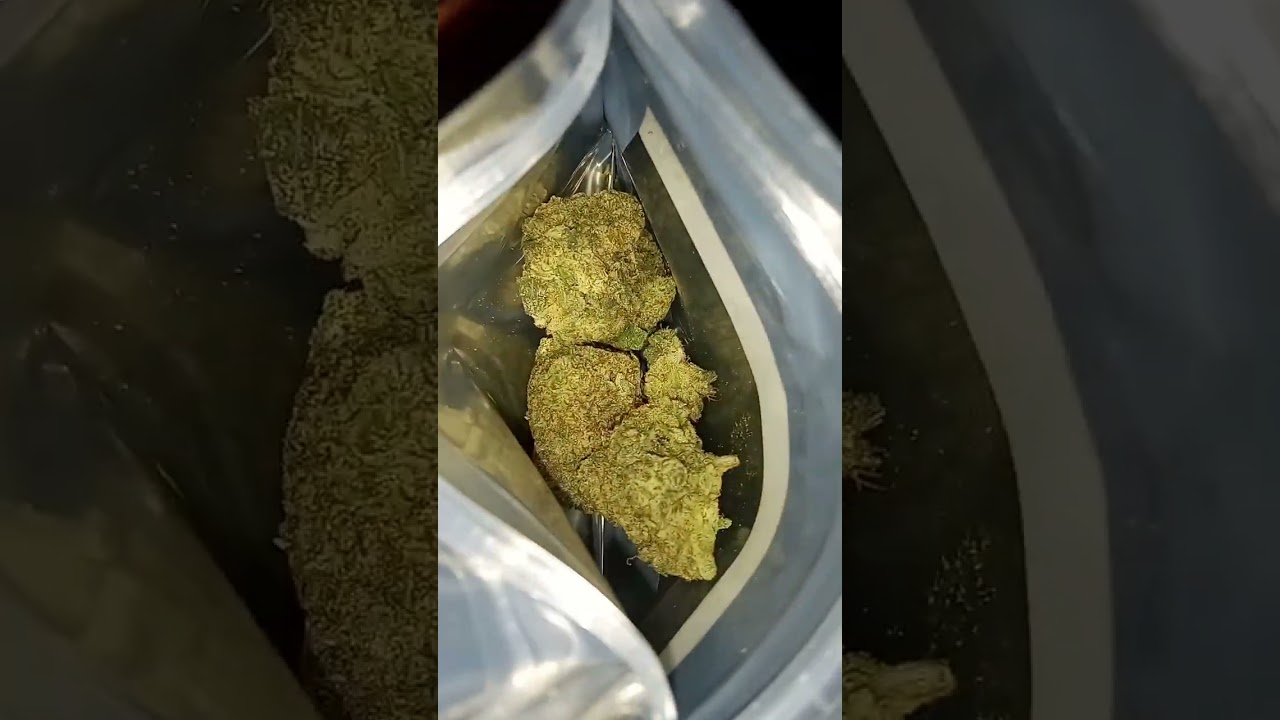Citrus Cookie Kush Standard Wellness #ohio #savage #gas