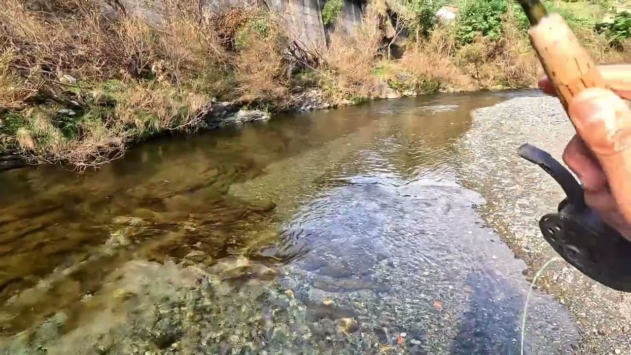 Riserva di Masone (seconda parte)