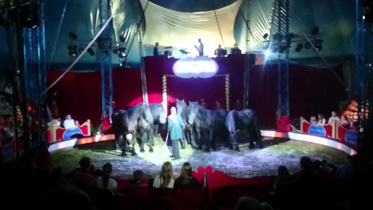 Cirkus olympia hästar. 2014