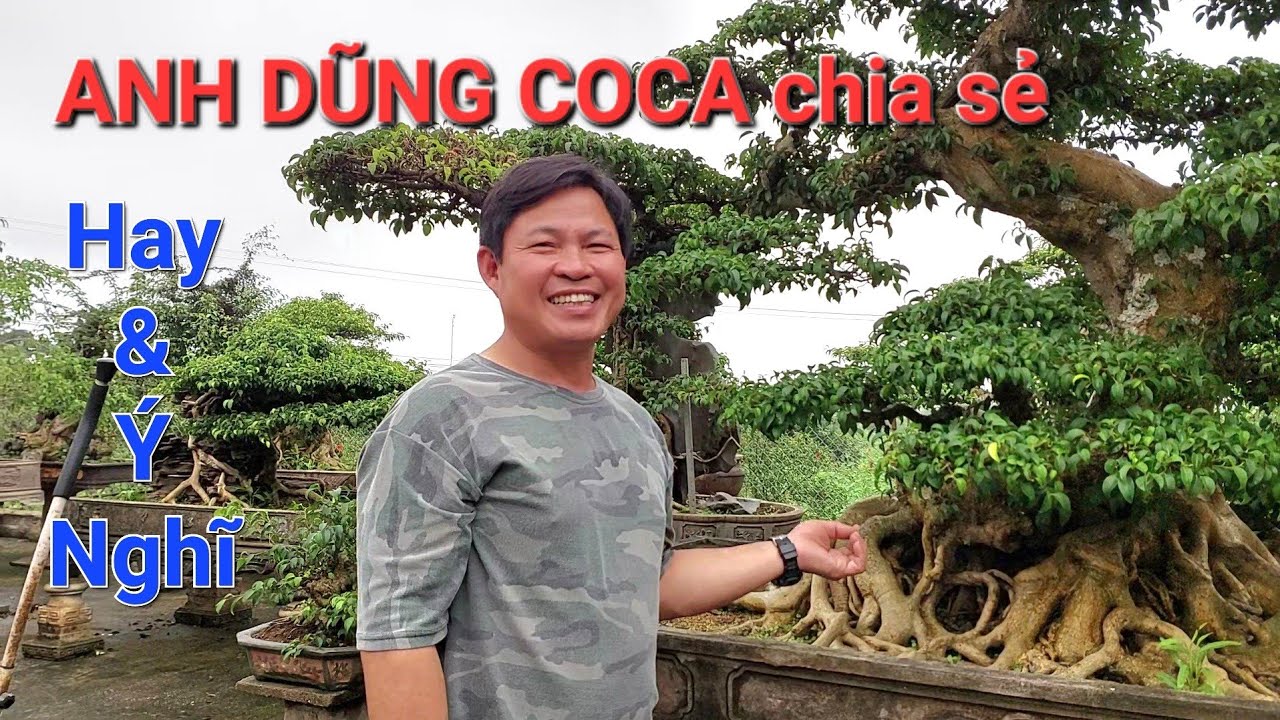 CHIÊM NGƯỠNG những TP RẤT QUÝ của NV NAM THÀNH được nghe anh DŨNG COCA cs QUÝ HAY !