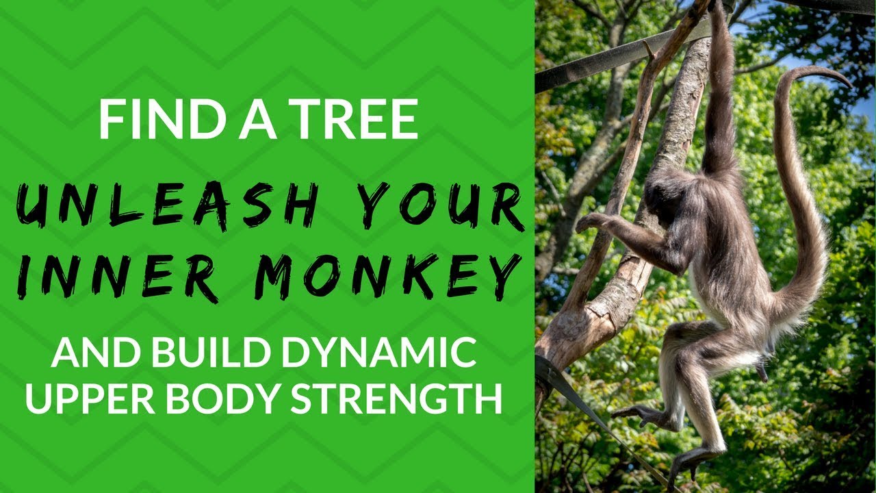 Why There's a Better Way to Build Upper Body Strength Than Just Pull Ups + Push Ups