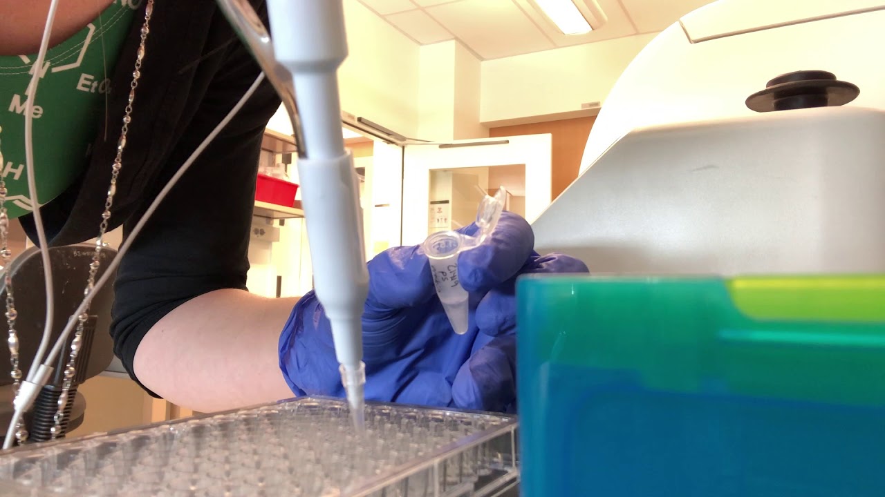 YHS: BCA Assay ft. Dr. Madeline Keleher