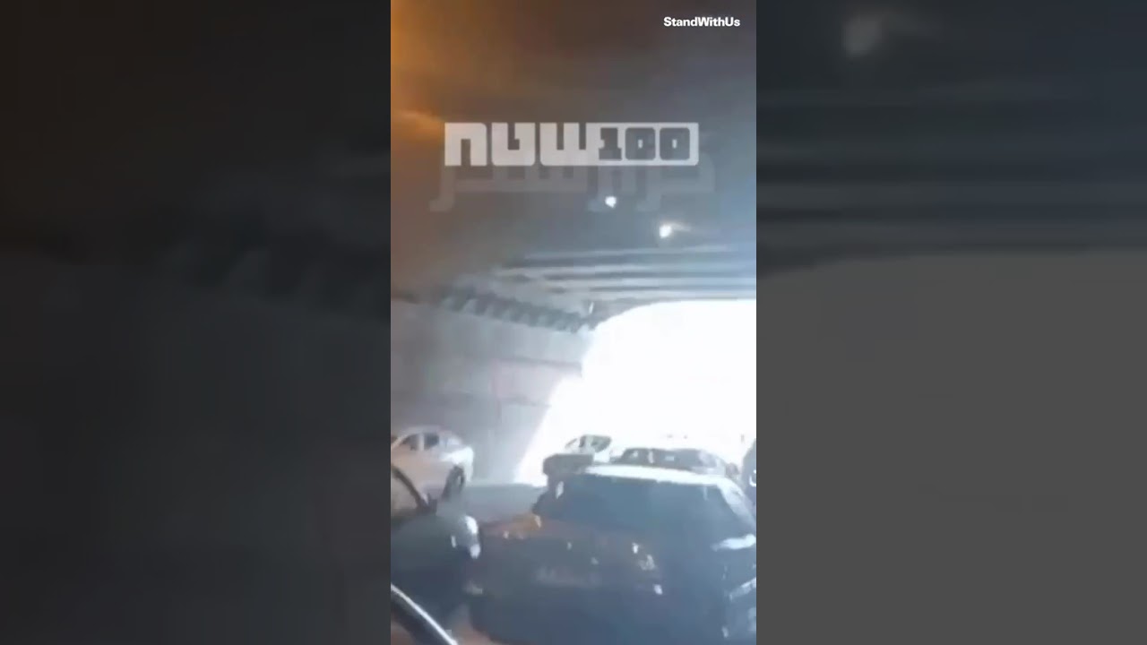 Risking Everything: Iranians Show Support for Strikes