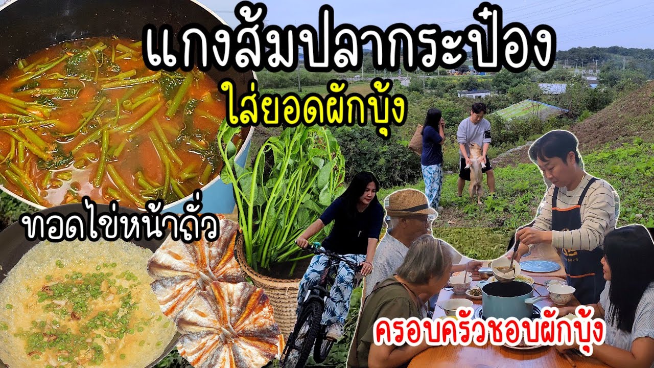 EP.807 แกงส้มปลากระป๋องใส่ยอดผักบุ้ง กินคู่กับไข่เจียวหน้าถั่ว เมนูง่าย ๆ แต่อร่อยจังเลย