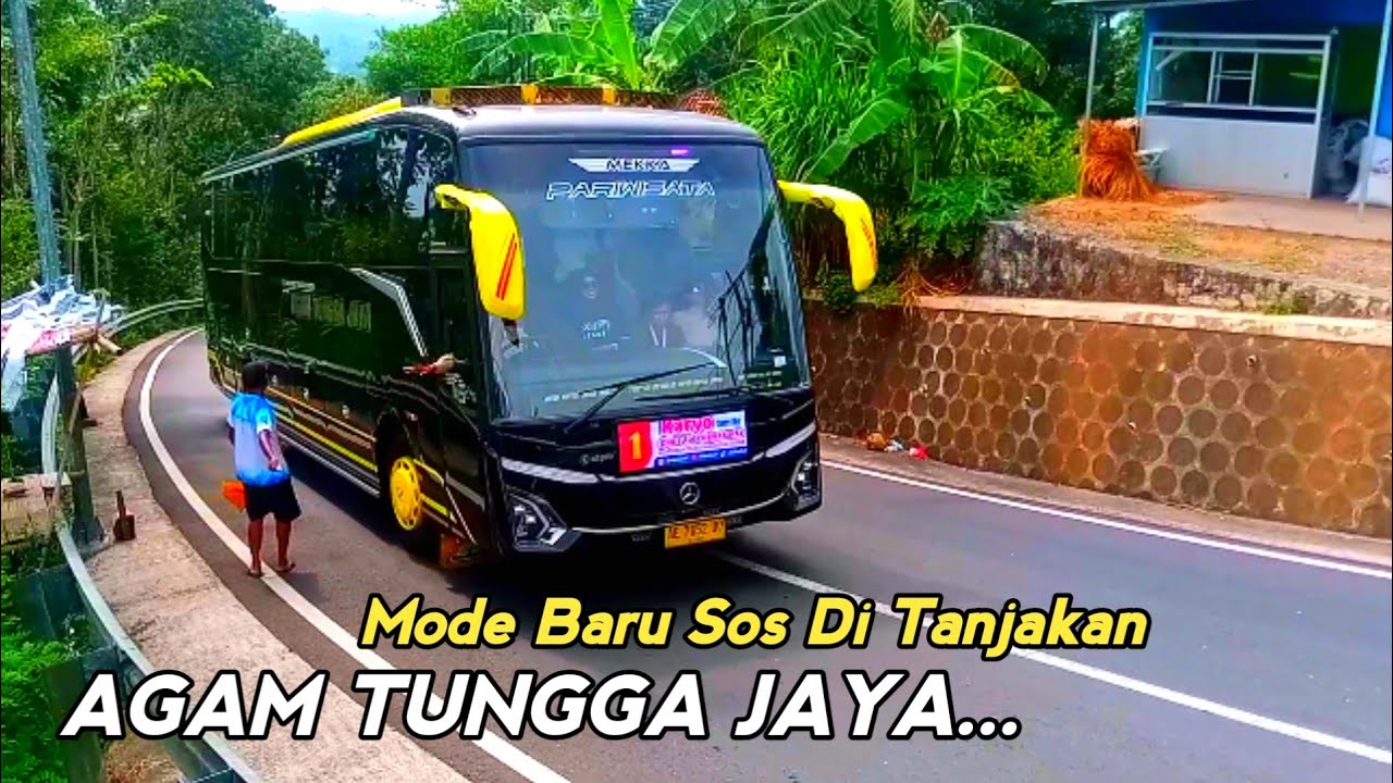 Mode Baru Agam Tungga Jaya @CleopatraChannel-yt 