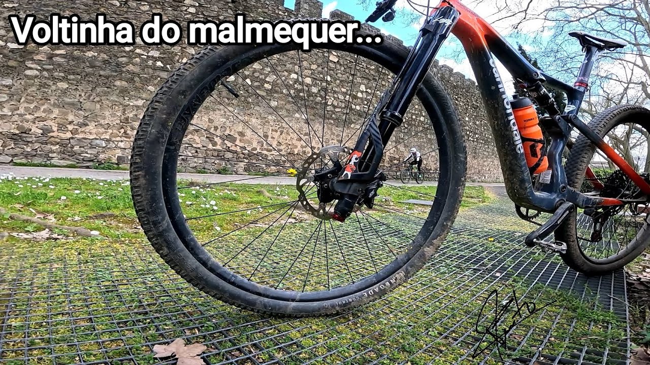 Voltinha do malmequer...