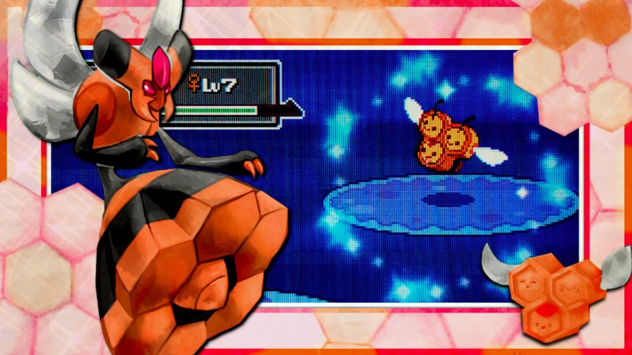 LIVE!! 1/65,536 Shiny Female Combee in Platinum after Five Phases + A Harem of 3 Live Shiny Males