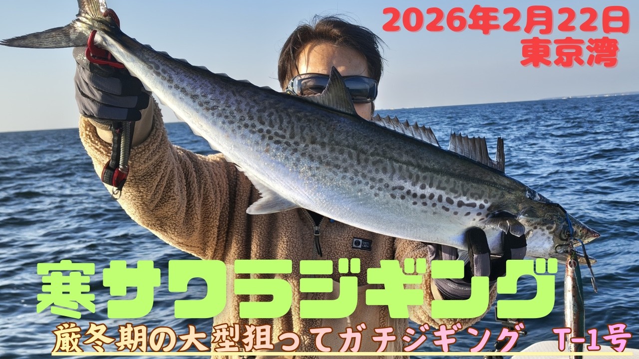 【東京湾ジギング】極上寒サワラ！シャクリ倒して連発！20260222