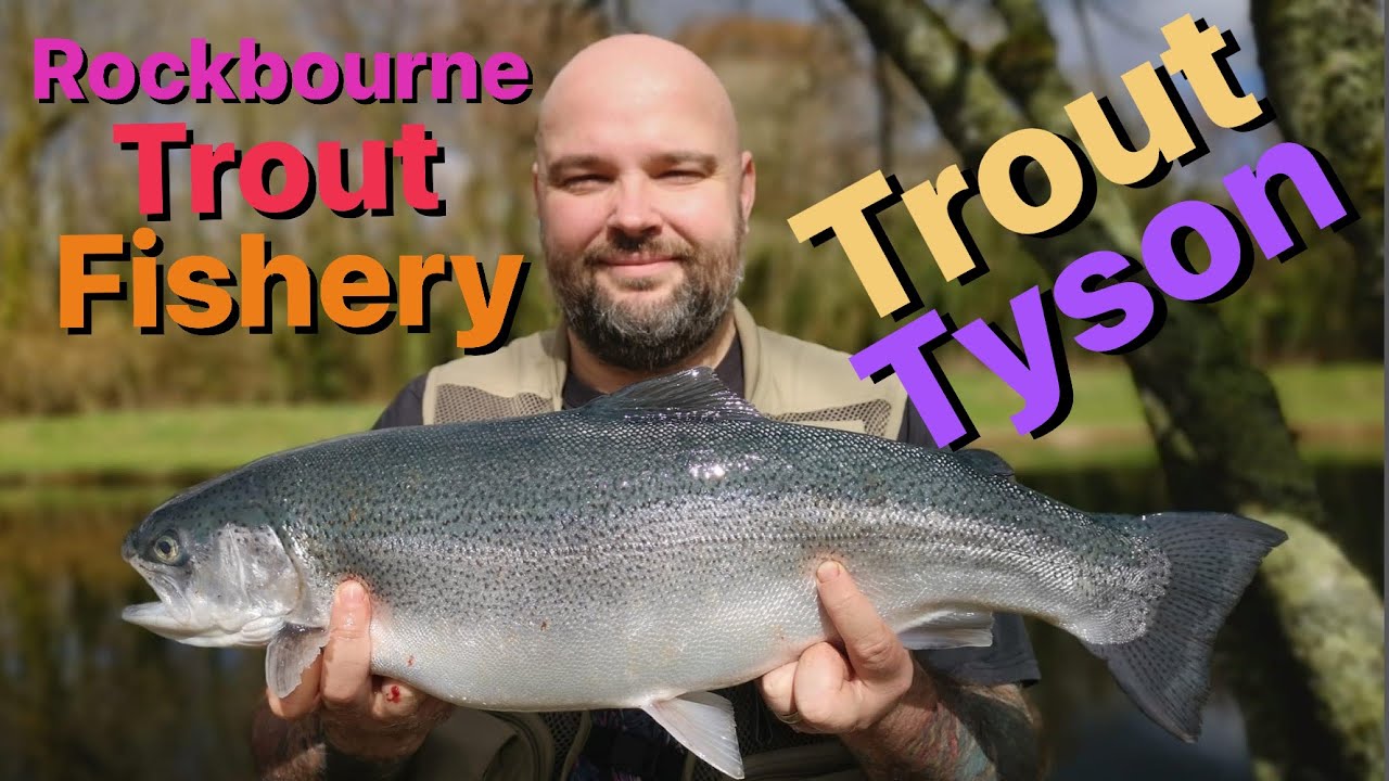 Rockbourne Trout Fishery Competition - I Catch Trout Tyson (Incredible Hard Fighting Blue Trout)