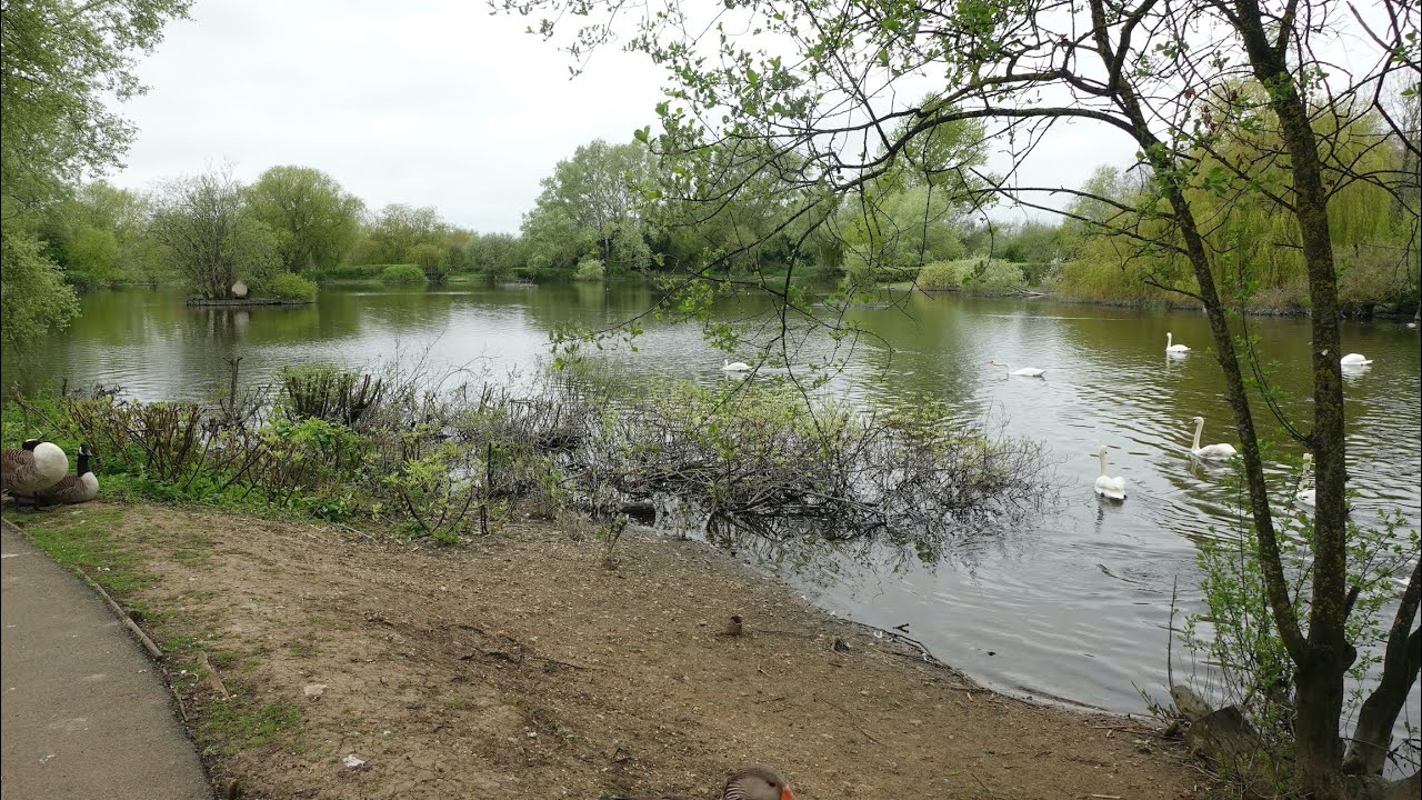 Watermead Lake, Aylesbury Vale, Buckinghamshire