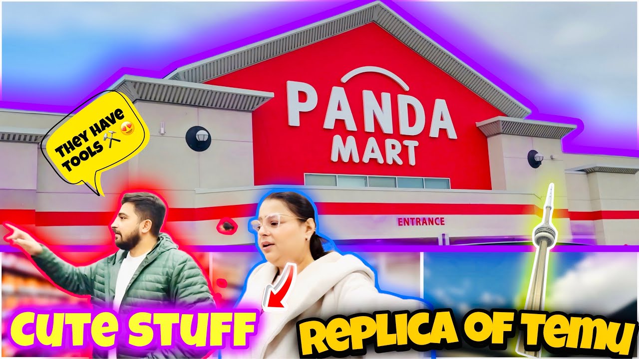 Temu in Real Life? 🤯 | Panda Mart Toronto Visit 🛒 | Exploring Toronto on the Go 🇨🇦 | Daily Vlog