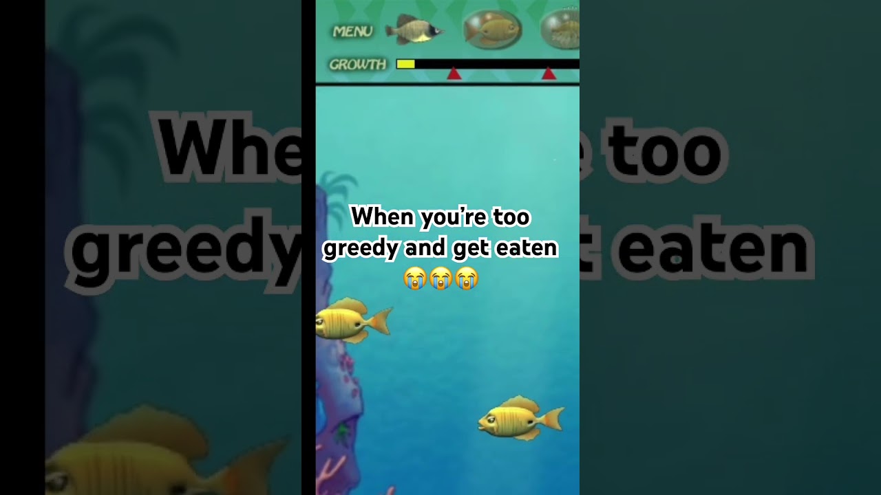Feeding Frenzy #RetroGames#PCGaming#OldSchoolGames#ArcadeGames