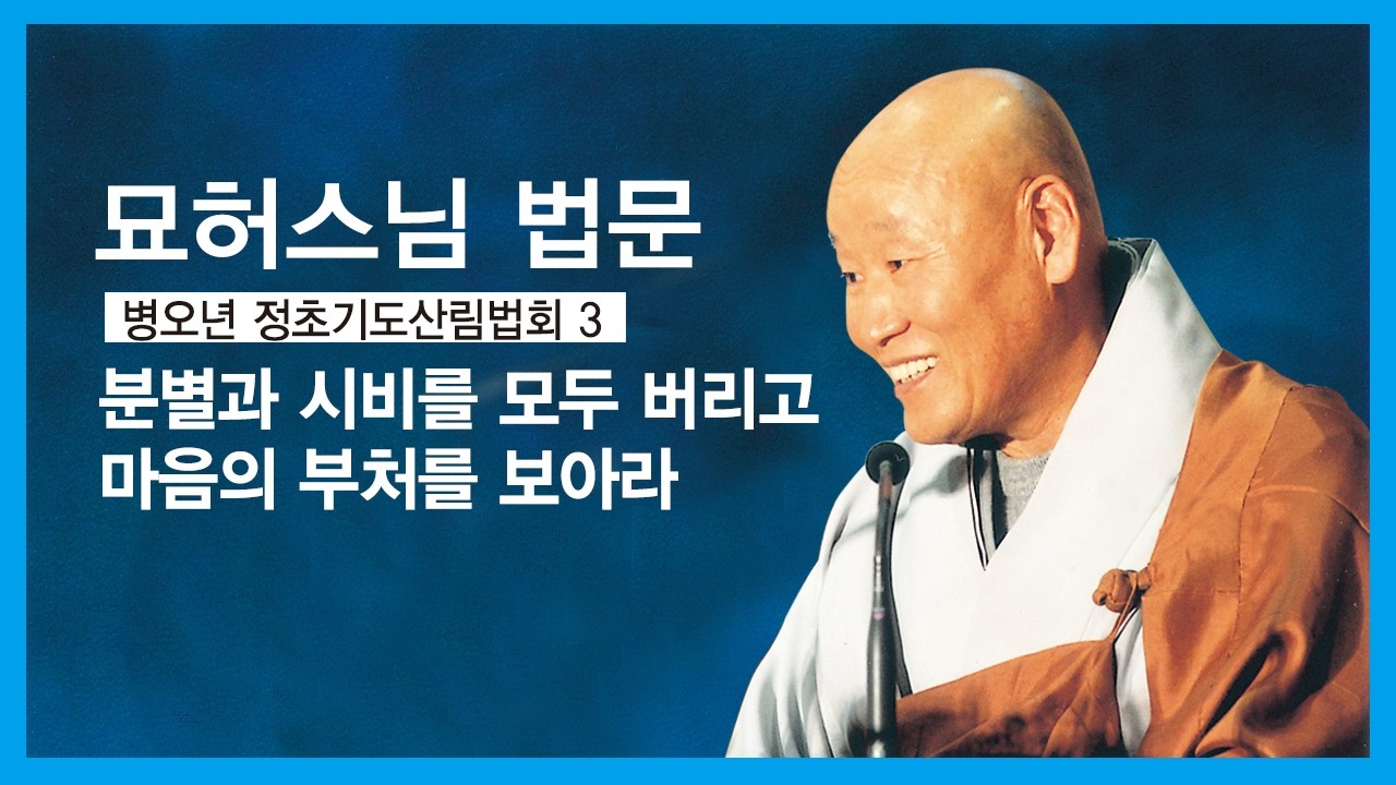 묘허스님 법문 분별과 시비를 모두 버려고 오직 마음의 부처를 보아라
