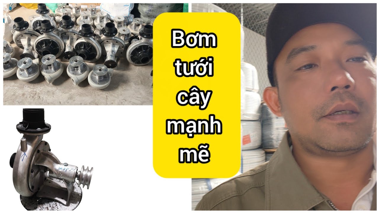 Bơm CHUYÊN tưới BÉC Bao Mạnh.#bomtuoicay #bectuoicay #moto