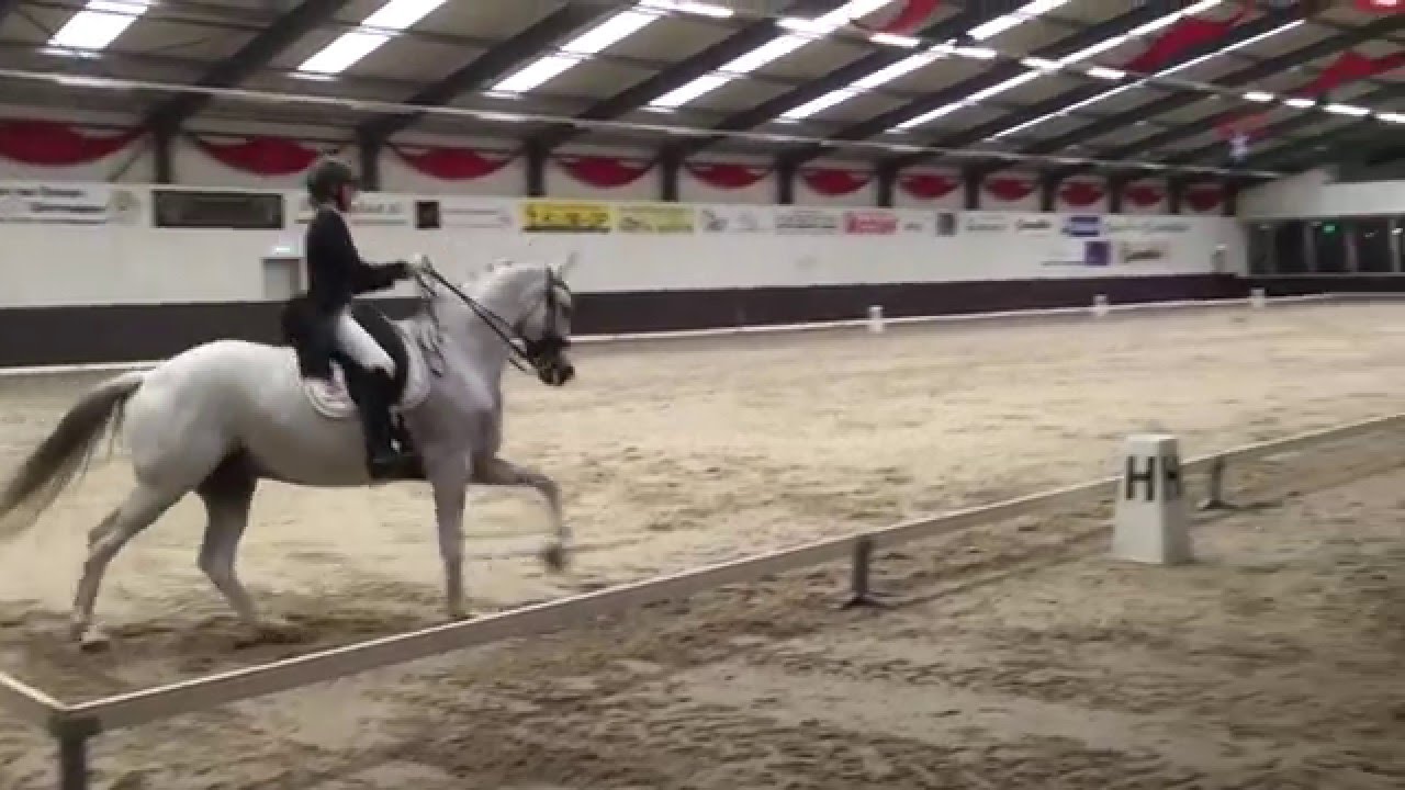 Junioren en Young Riders / MDH Kostendrukkers Cup - Elle van Drunen Sporthorses