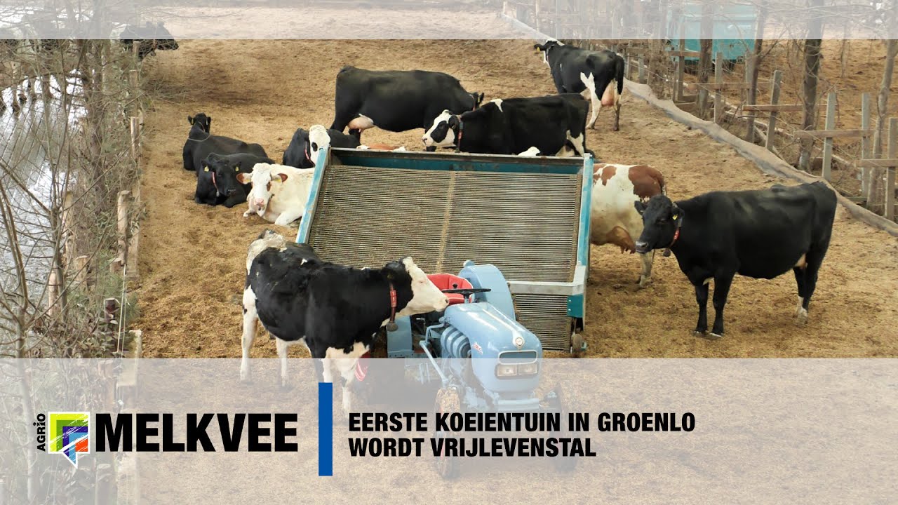 Eerste Koeientuin in Groenlo wordt VrijLevenStal