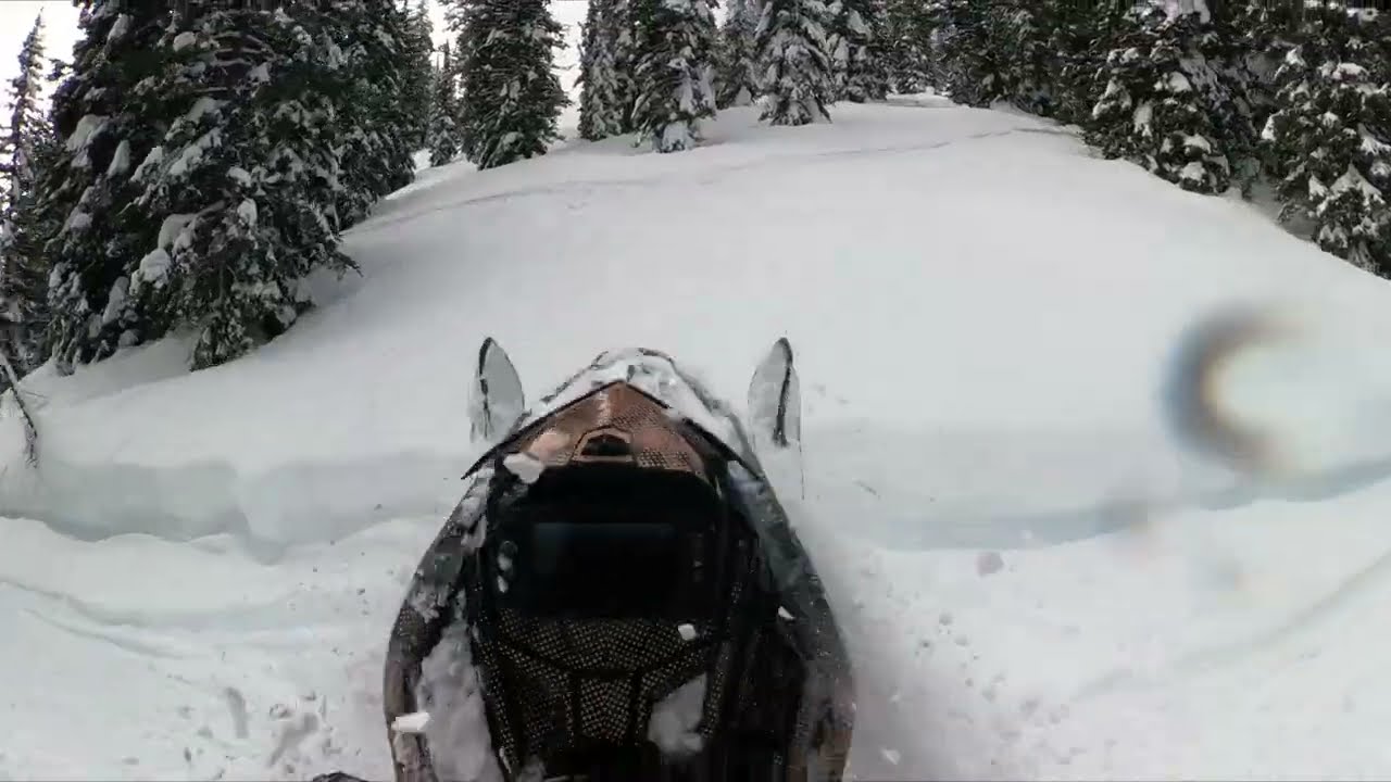 Cycles and Sleds Boosted Polaris with a 3