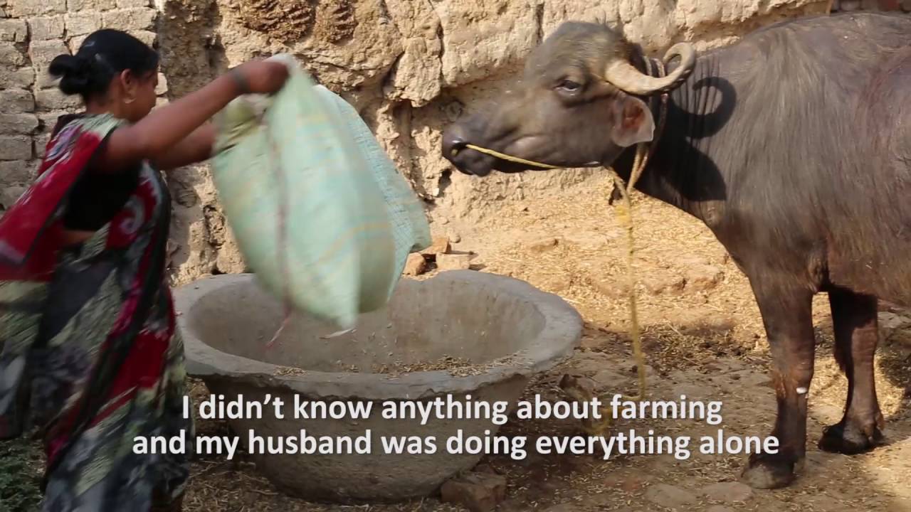 Documentary film of innovative Rojiroti microfinance in India (9 minutes)