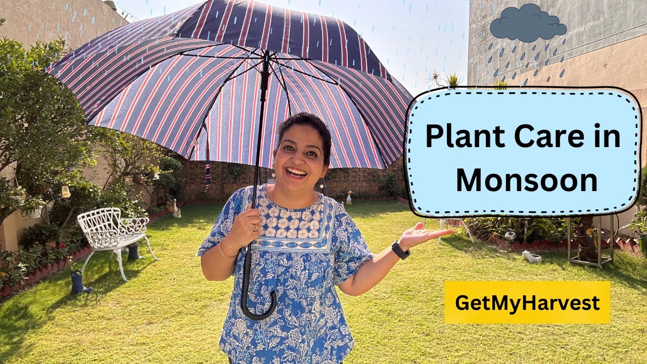 13 Tips for Plant Care during Monsoon | मानसून के मौसम में पौधों की देखभाल #getmyharvest