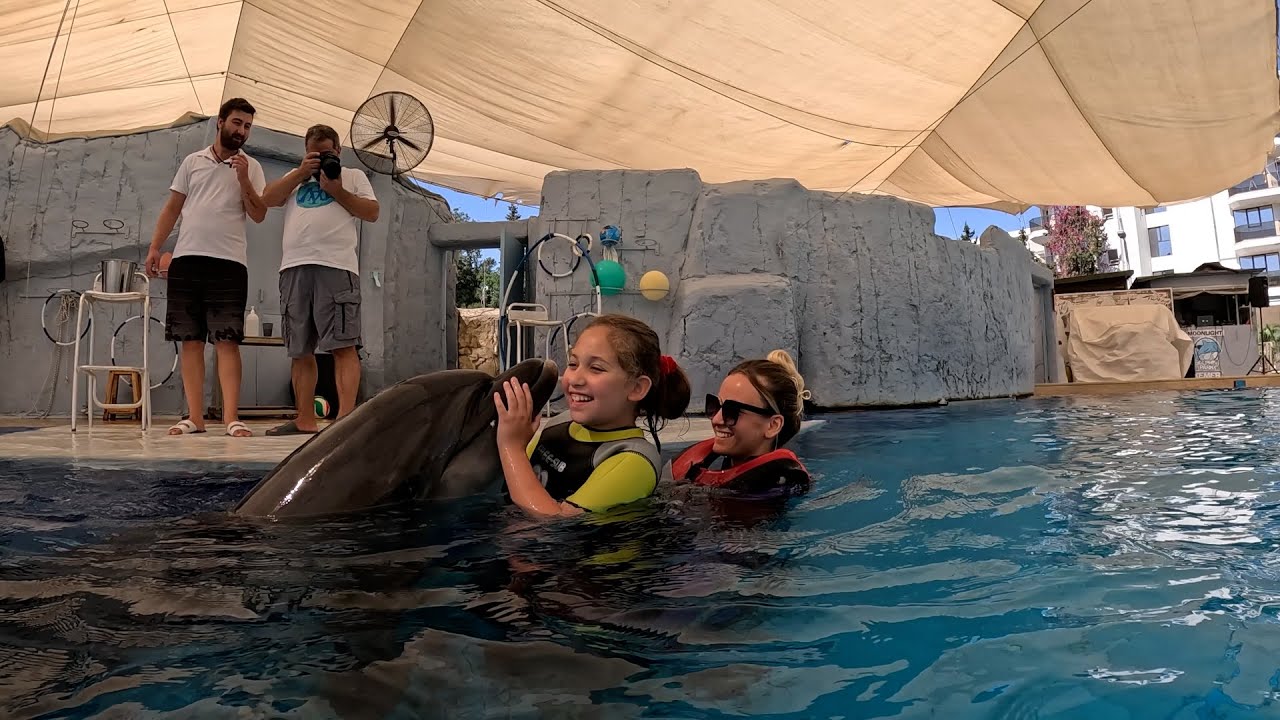 Dolphin Therapy Land ( Emma )
