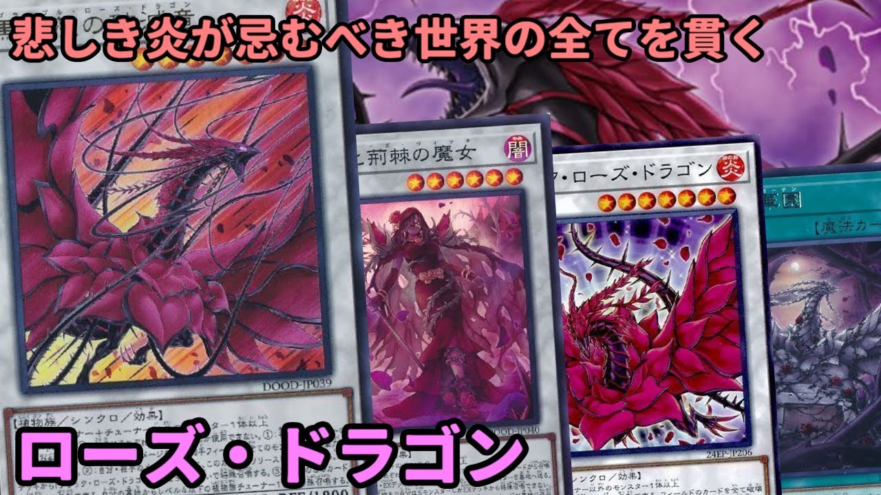 【#遊戯王】5D'sといえばバーン効果！相手ターンブラロが簡単に出来るようになった『ローズ・ドラゴン』紹介します【#トレカカルテ】