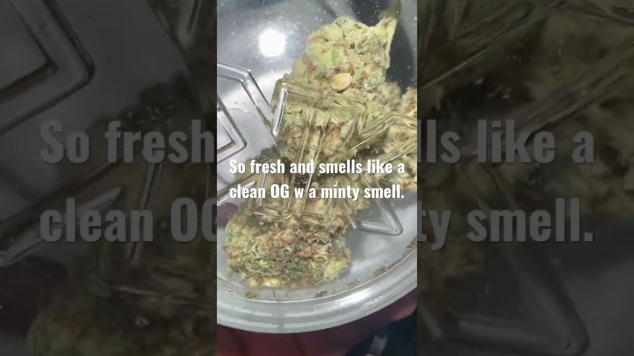 KHALIFA KUSH MINTS PACK REVIEW