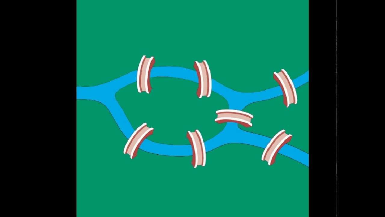 Seven Bridges of K&ouml;nigsberg - Woodside High School