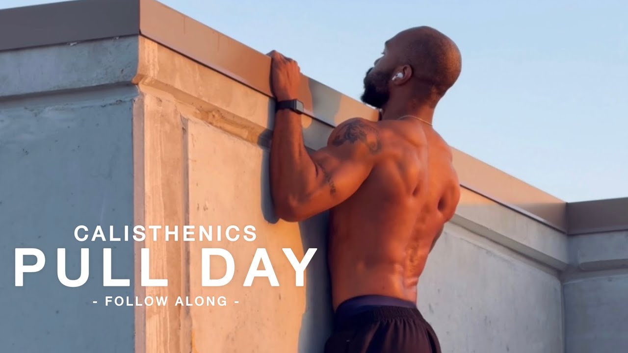 Calisthenics Pull Day Workout - Follow Along at Home Series, No Talking