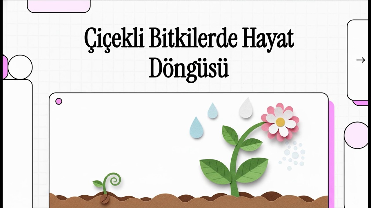 6.Sınıf Fen Bilimleri Çiçekli Bitkilerde Üreme, Büyüme ve Gelişme Konu Anlatımı