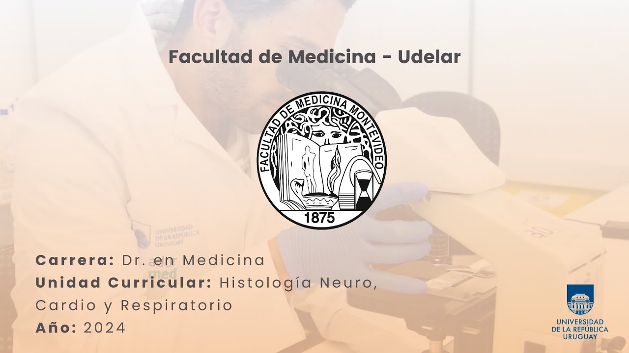 Enfermedad de Charcot-Marie-Tooth (CMT)