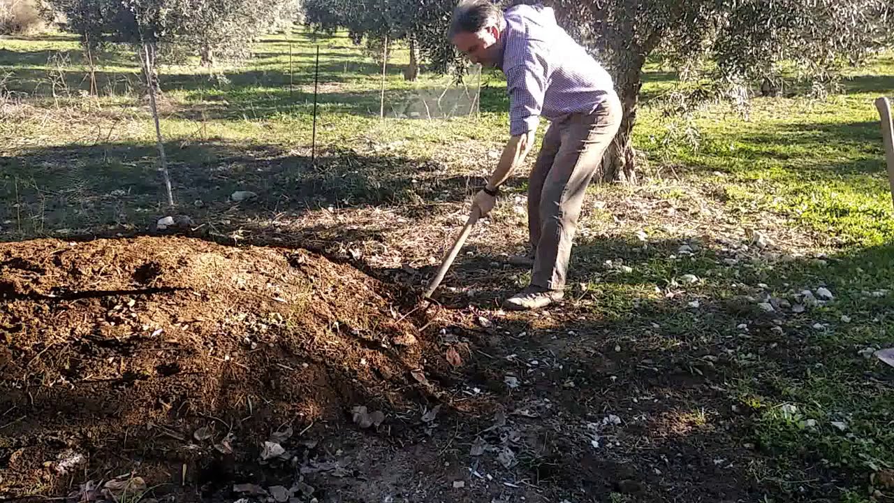 Hoy cortamos el estiércol