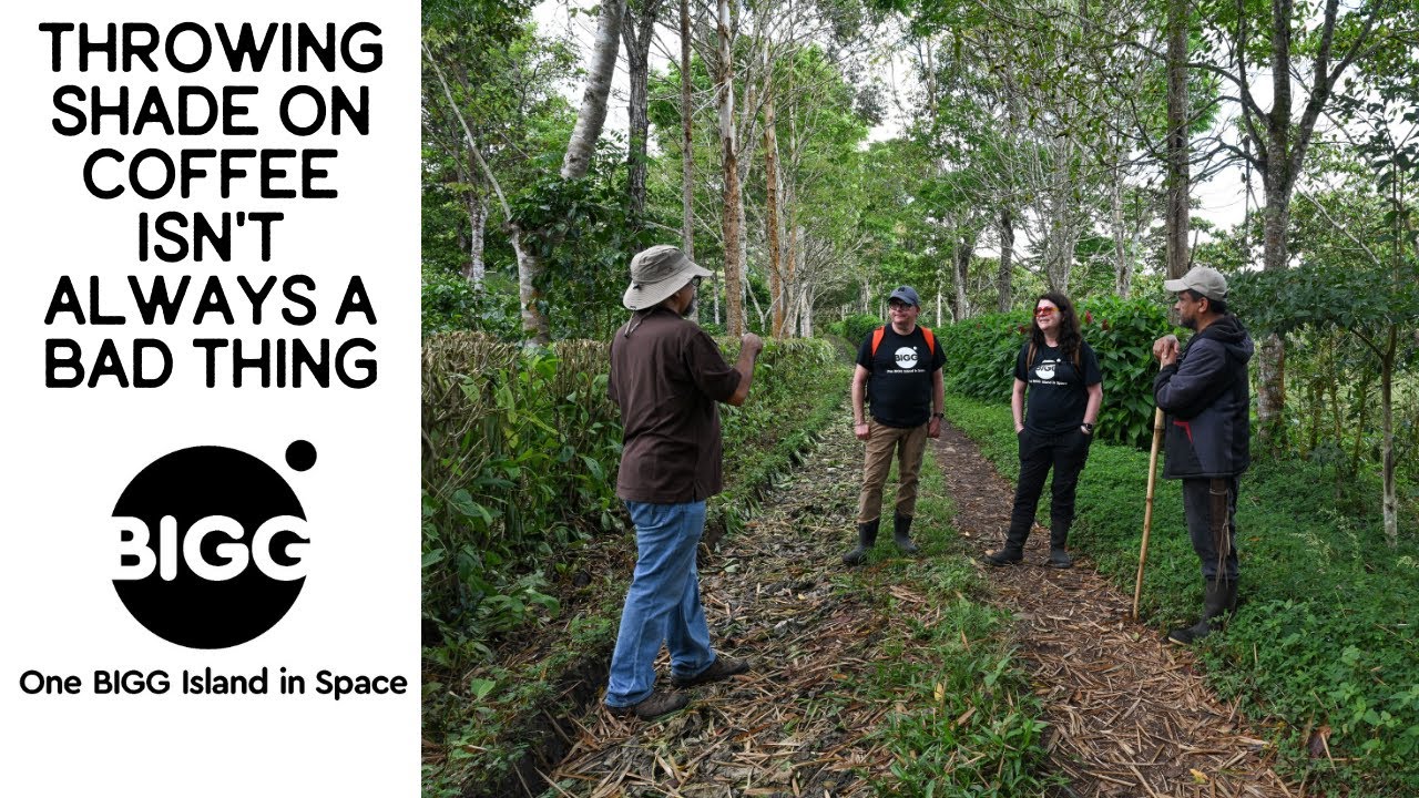 BEAN BASICS On the Road: S1 E4: The Benefits of Shade Grown Coffee